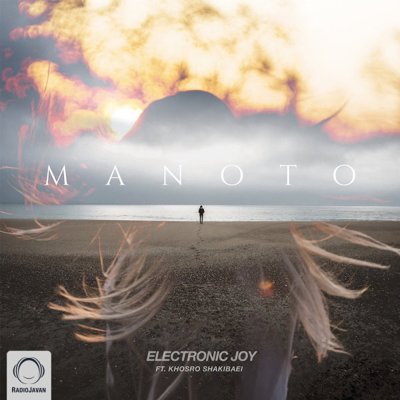 Electronic Joy