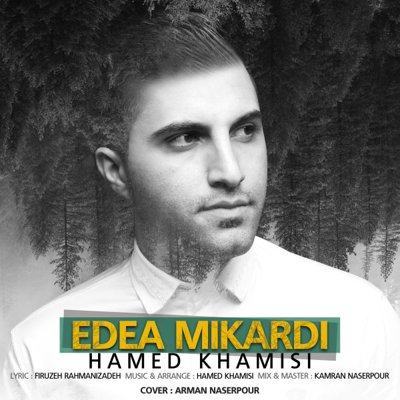 Hamed Khamisi