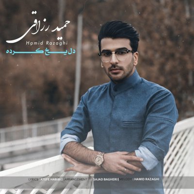 Hamid Razaghi