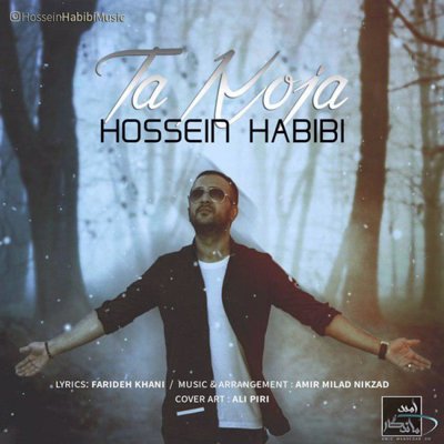 Hossein Habibi