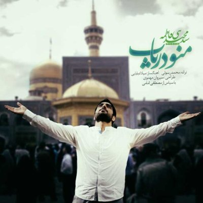 Seyed Majid Bani Fatemeh