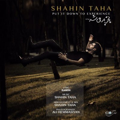 Shahin Taha
