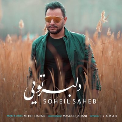 Soheil Saheb