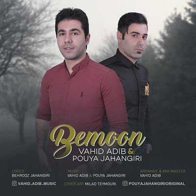 Vahid Abid & Pouya Jahangiri