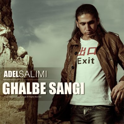 Adel Salimi