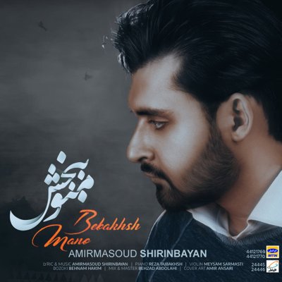 Amirmasoud Shirinbayan